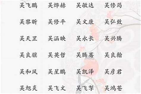 姓吳 取名|吳姓寓意好的男孩名字（精選200個）